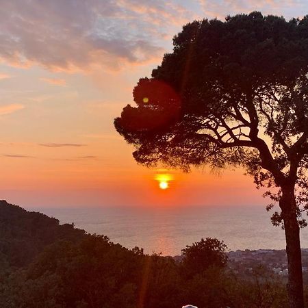 Villa Gemma Livorno Bagian luar foto