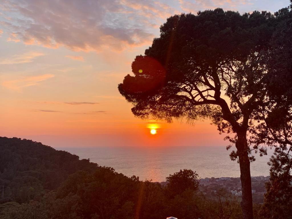 Villa Gemma Livorno Bagian luar foto